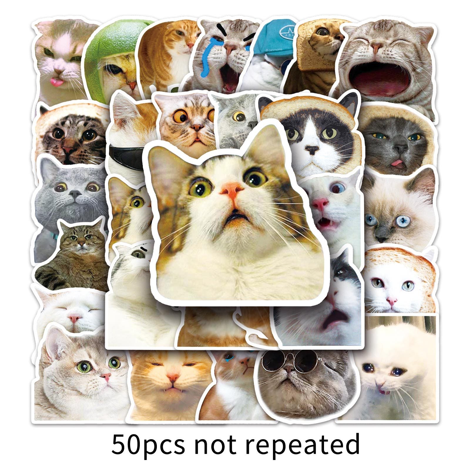 Wholesale 50pcs cat expression bag graffiti personality  sticker