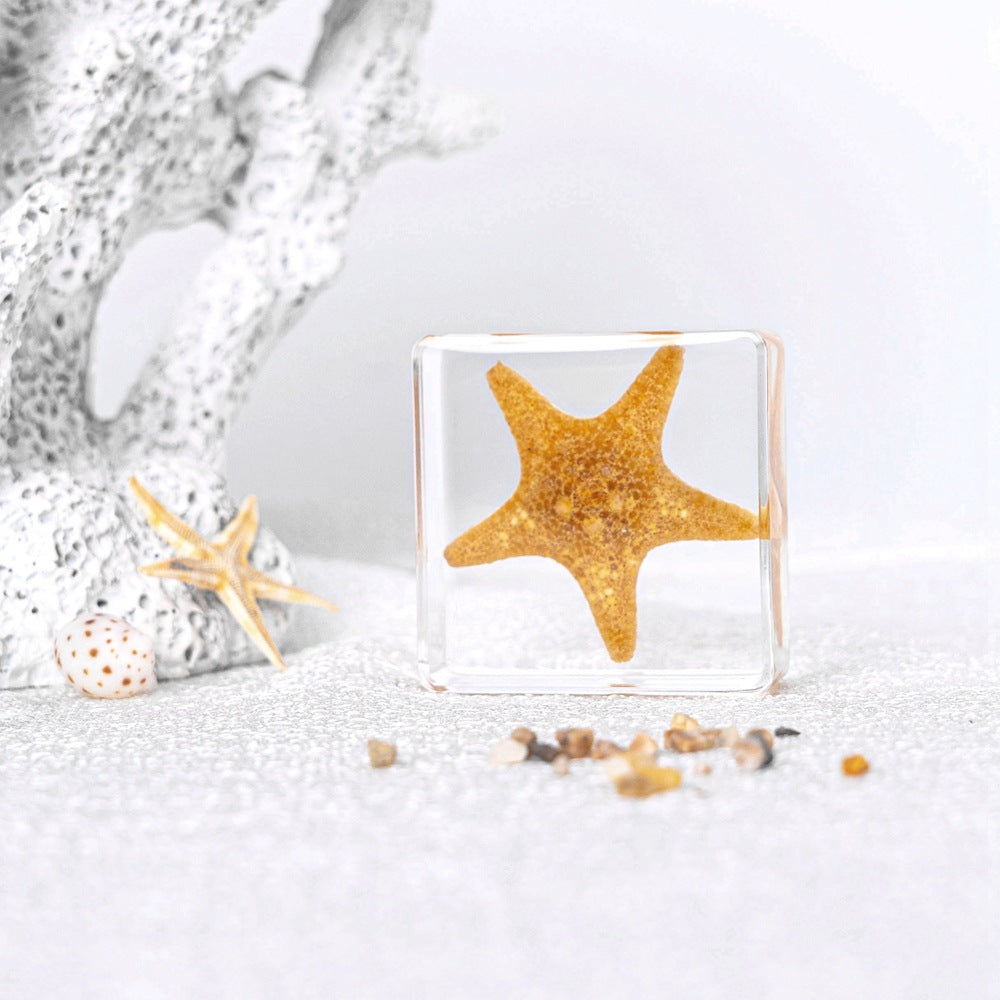 Wholesale Ocean Starfish Crab Shell Specimen Resin Ornaments