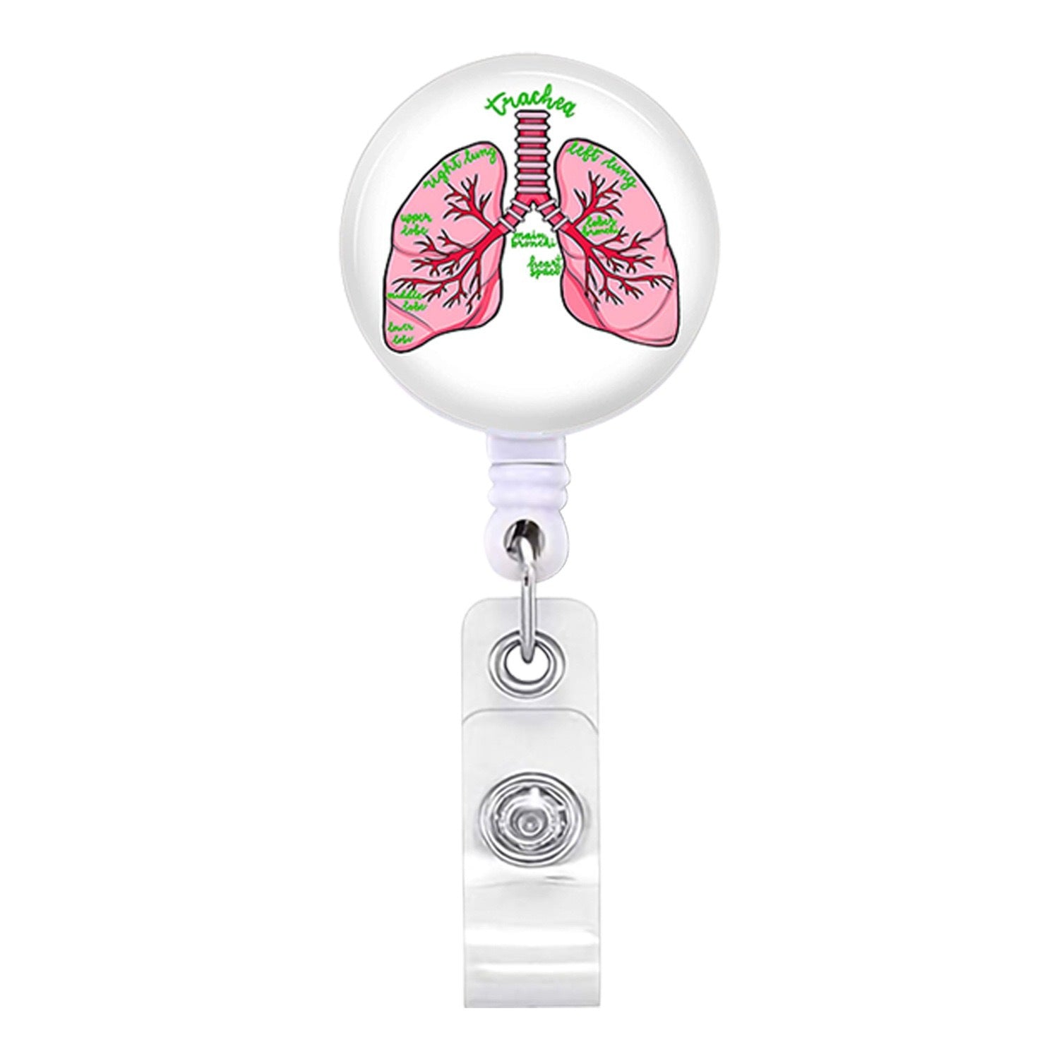 Wholesale Heart brain gastrointestinal tract  human organs Badge Reels