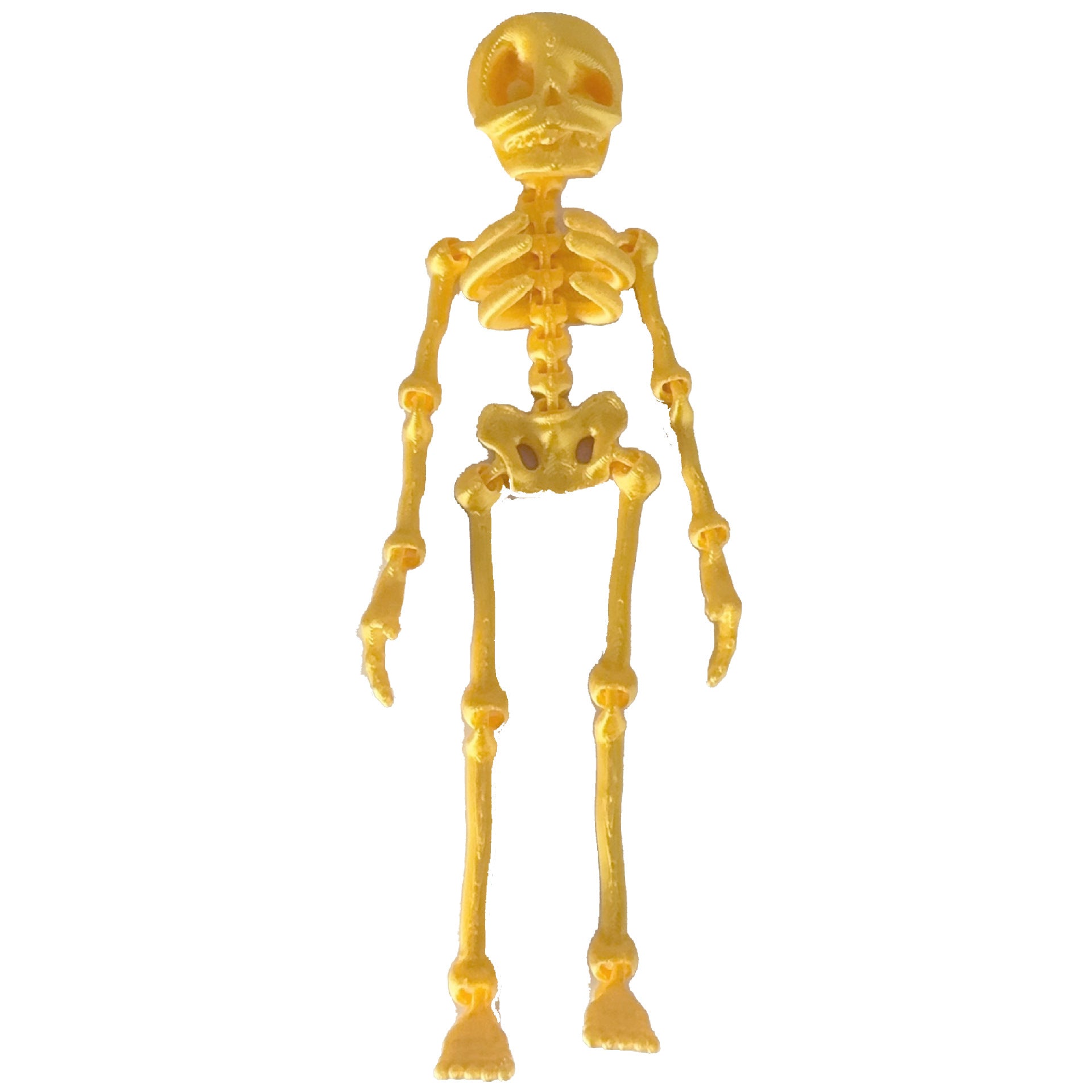 Wholesale 3D printed skeleton human joint movable children' s  toy creative refrigerator magnet