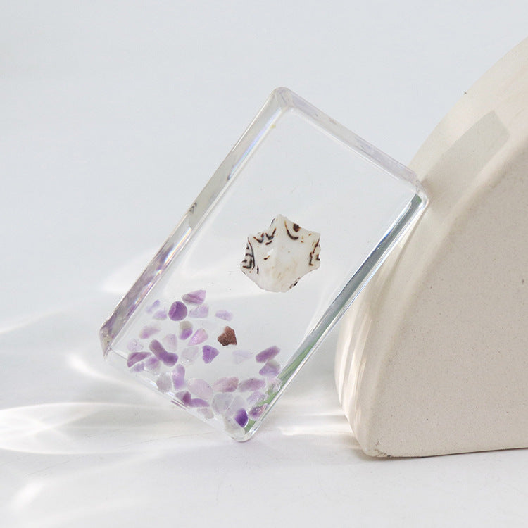 Wholesale 6pcs Real Conch Specimen Crafts Resin Ornaments