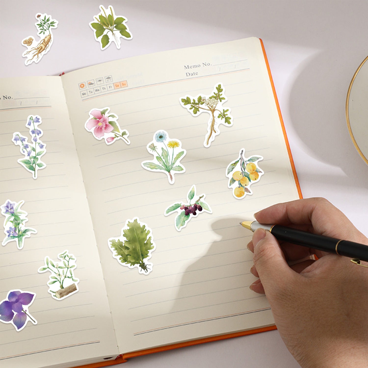 Wholesale 50 vintage green herbal Chinese medicine stickers