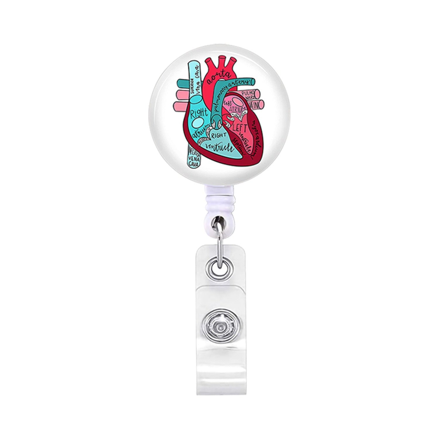 Wholesale Heart brain gastrointestinal tract  human organs Badge Reels