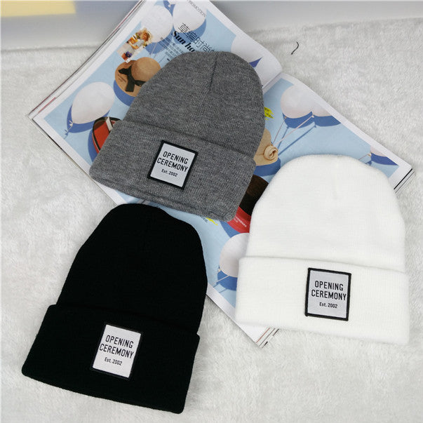 Wholesale Letter Label Wool Cap Knitted Hat