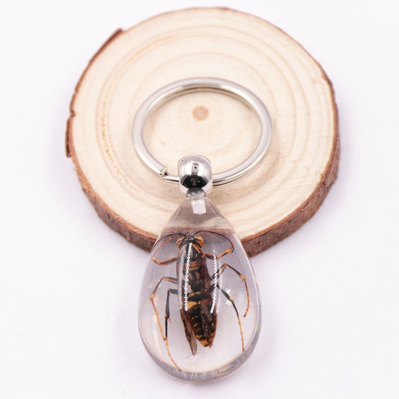 Wholesale 6pcs Resin Insect Specimen Transparent Glue Keychain