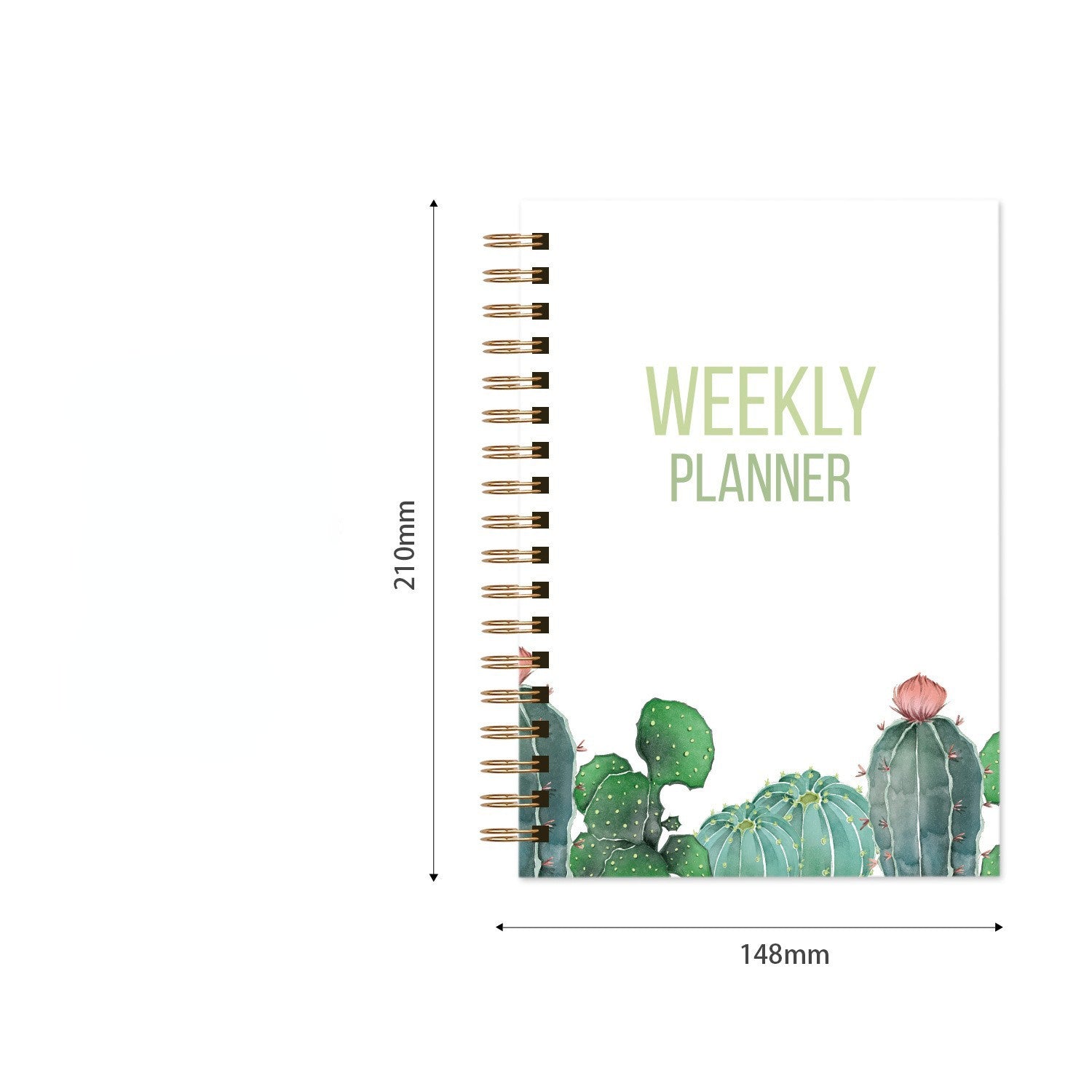 Wholesale Weekly Plan Paper Notebook