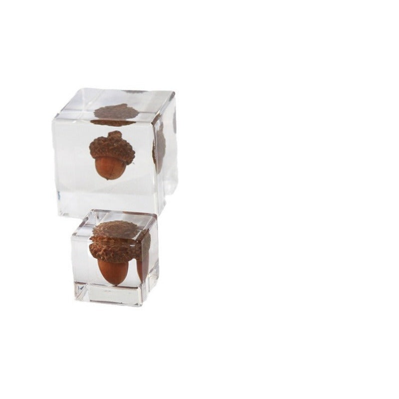 Wholesale 6pcs Acorn Paperweight Desktop Crafts Ornaments