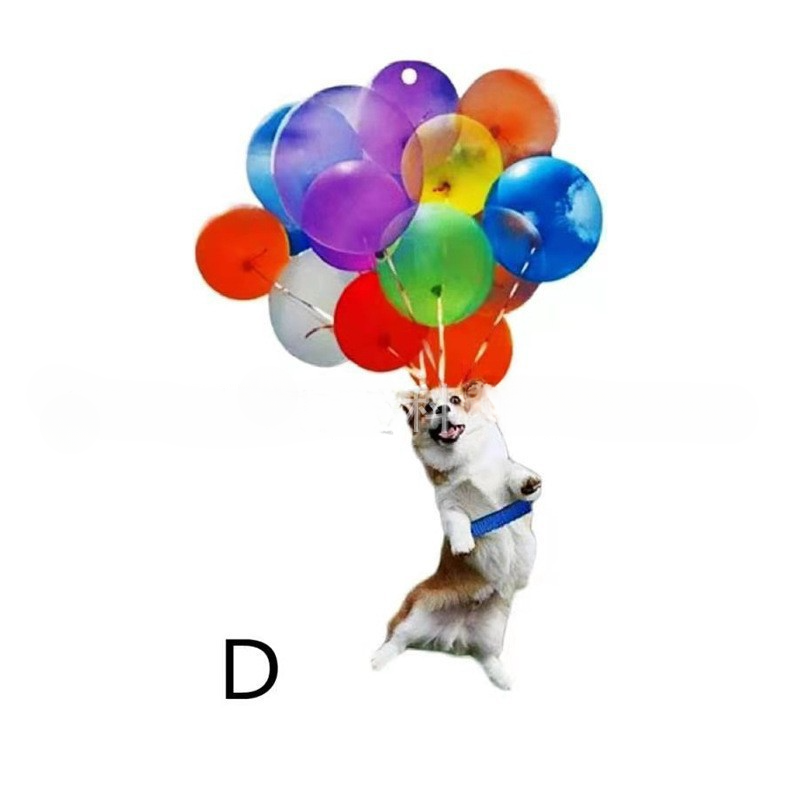 Wholesale Acrylic Car Cat and Dog Hanging Decorations