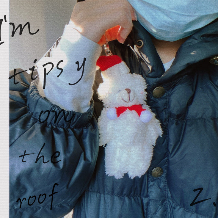 Wholesale Plush Teddy Bear Keychain