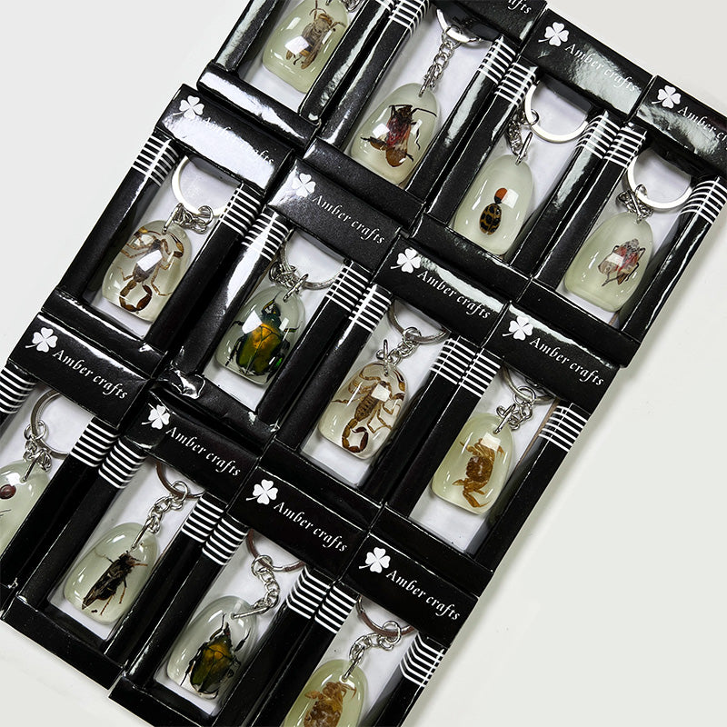 Wholesale 12pcs/pack Insect Specimens Keychain Set