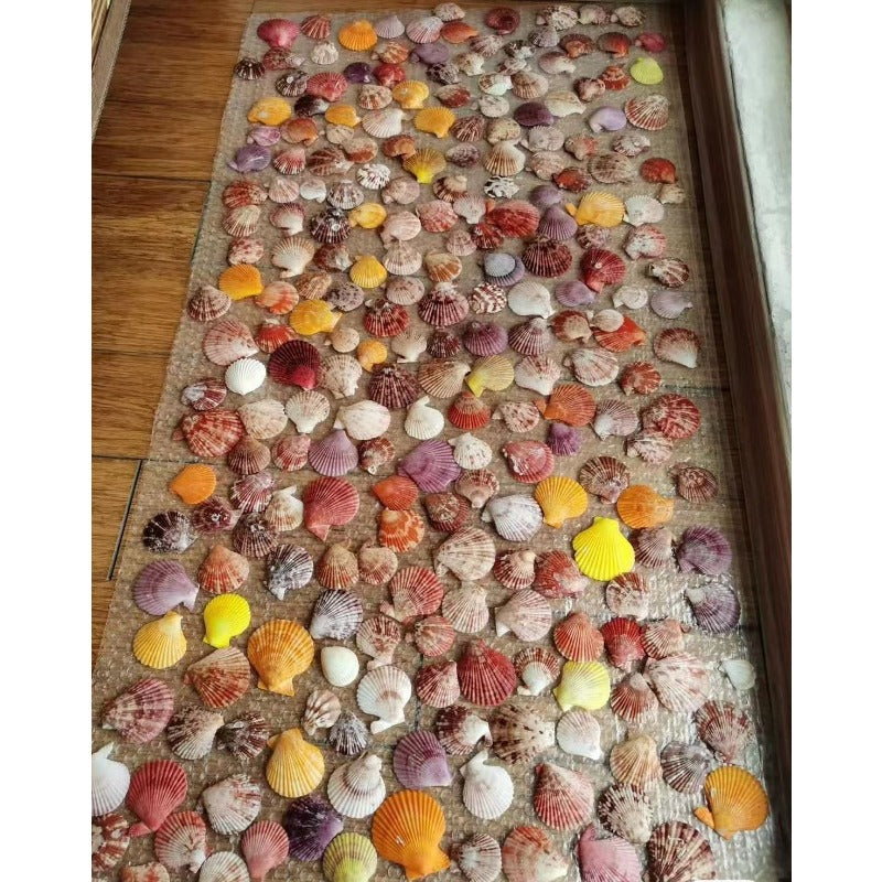 Wholesale Bohemian Beach Shell Holiday Style Natural Scallop Beaded Necklace