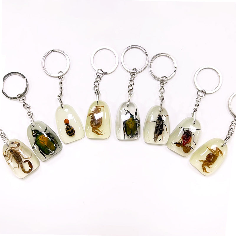 Wholesale 12pcs/pack Insect Specimens Keychain Set