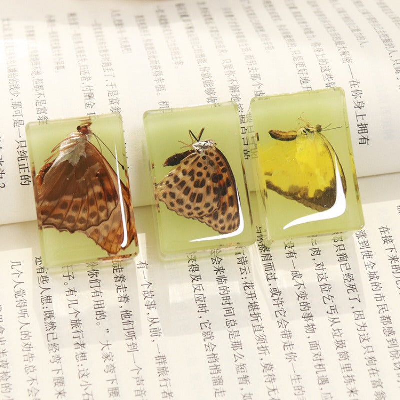 Wholesale 12pcs Luminous Real Insect Scorpion Desktop Resin Ornaments