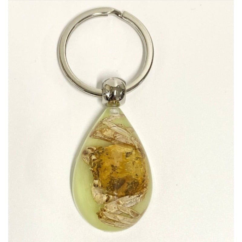 Wholesale 6pcs Resin Insect Specimen Transparent Glue Keychain