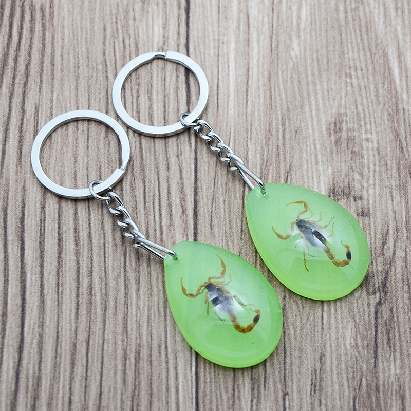 Comercio al por mayor 12PCS Insectos Muestras de ámbar Llaveros de resina