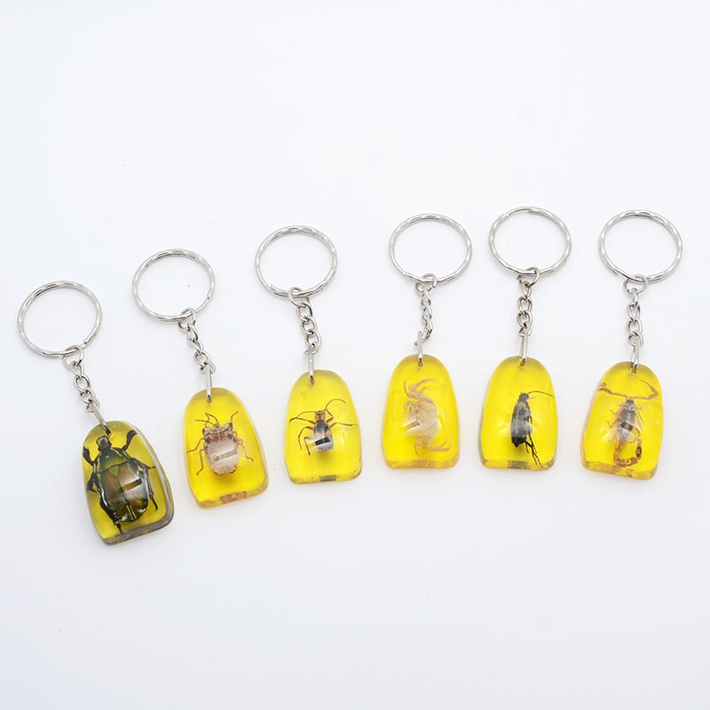 Comercio al por mayor 12PCS Insectos Muestras de ámbar Llaveros de resina