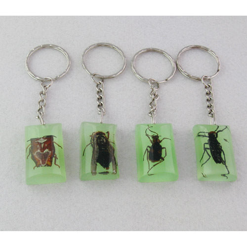 Comercio al por mayor 12PCS Insectos Muestras de ámbar Llaveros de resina