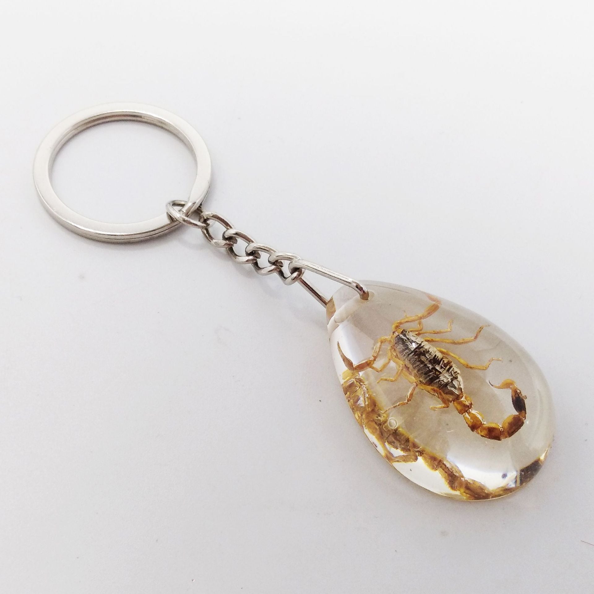 Comercio al por mayor 12PCS Insectos Muestras de ámbar Llaveros de resina