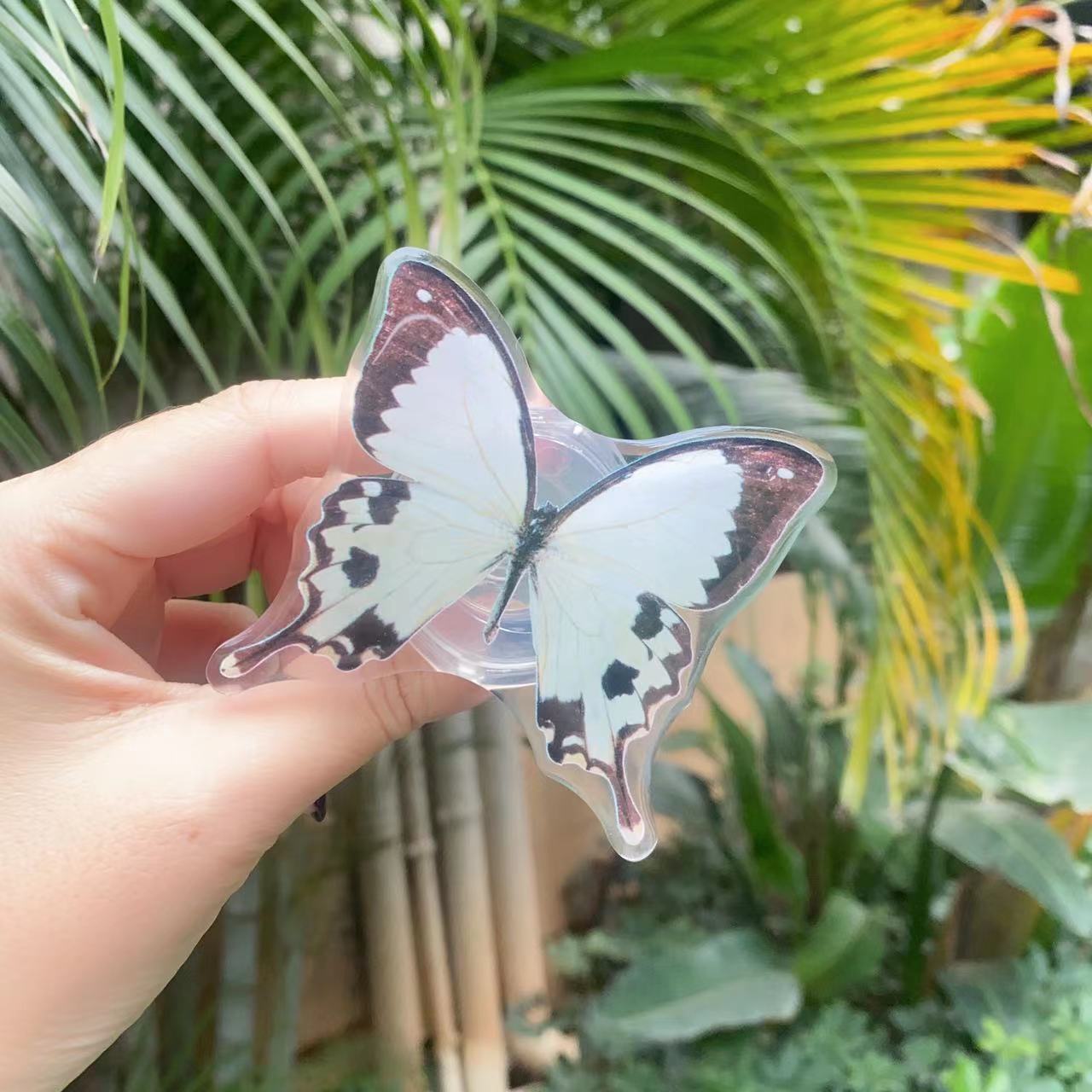 Venta al por mayor Soporte de teléfono móvil de mariposa pintada de acrílico