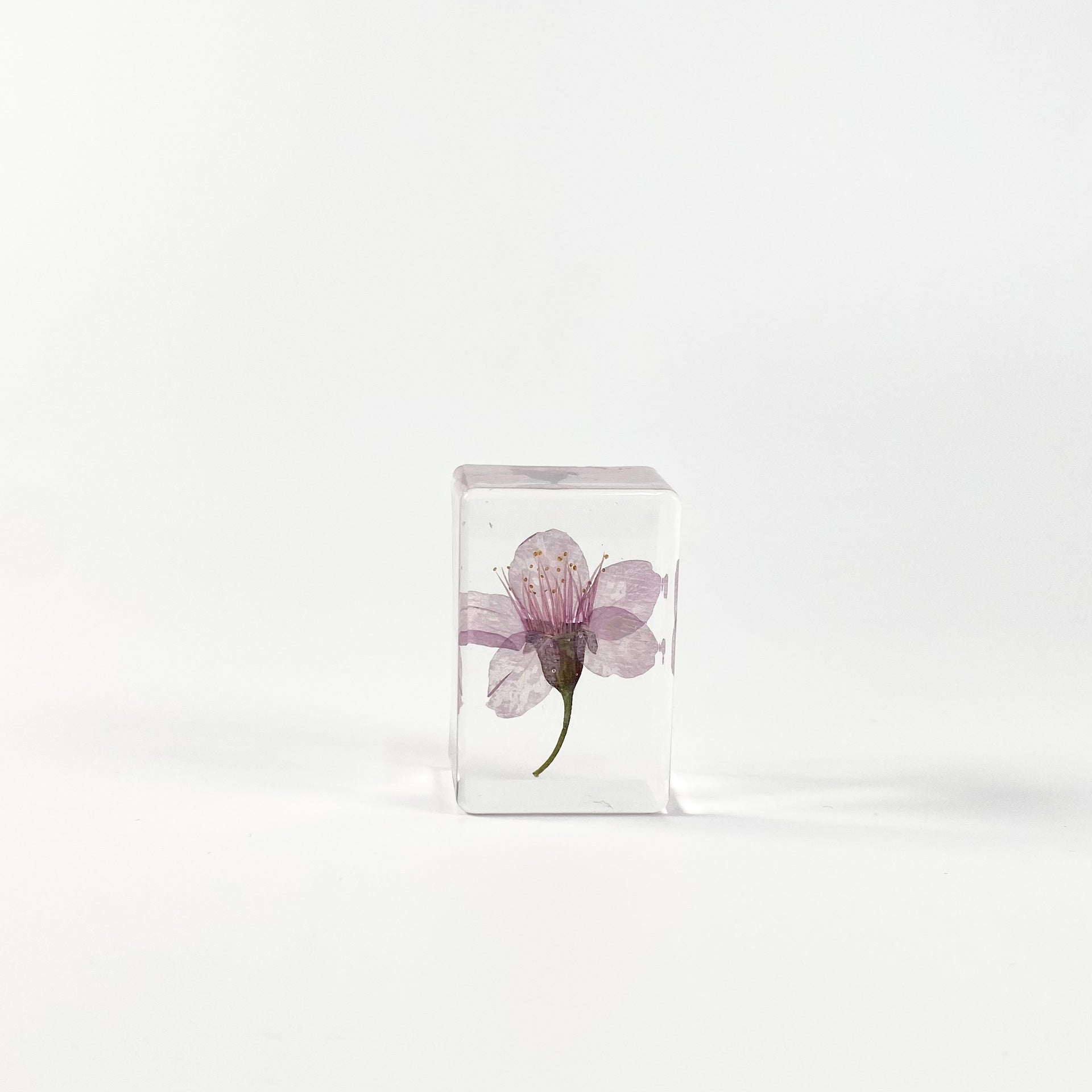 Wholesale Transparent Epoxy Resin Amber Dried Flower Book Town