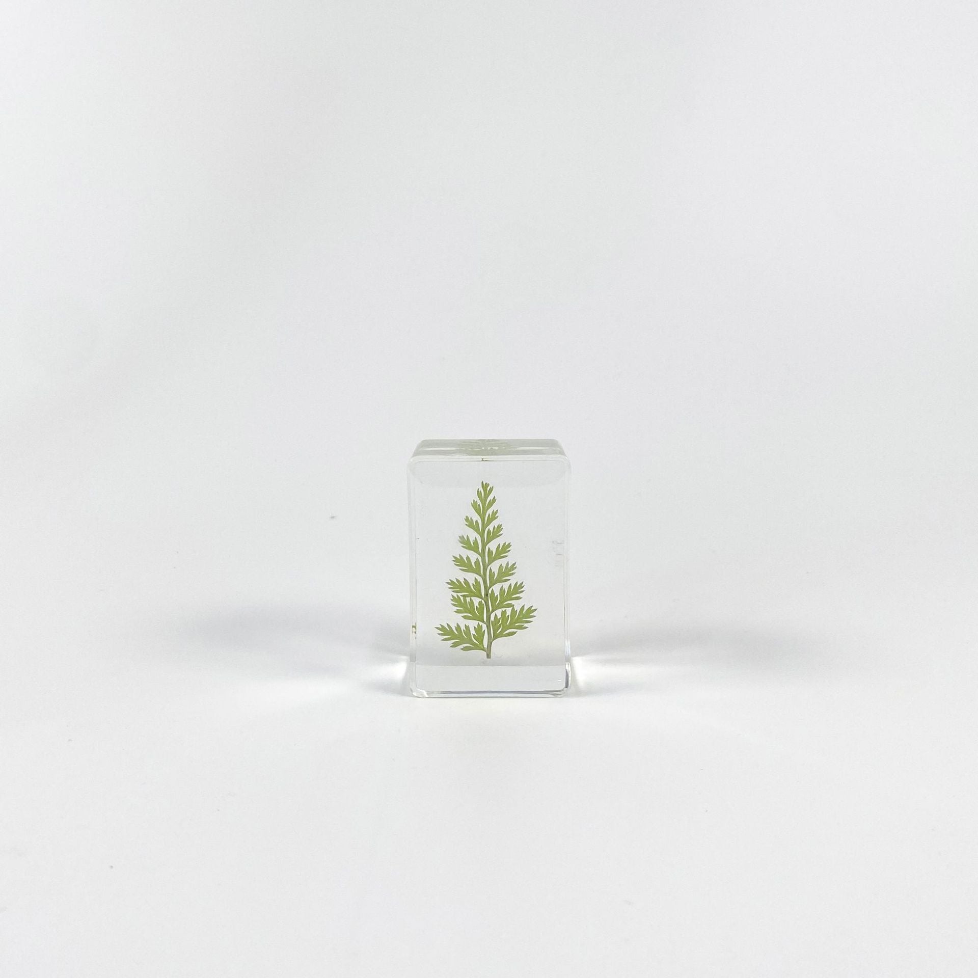 Wholesale Transparent Epoxy Resin Amber Dried Flower Book Town