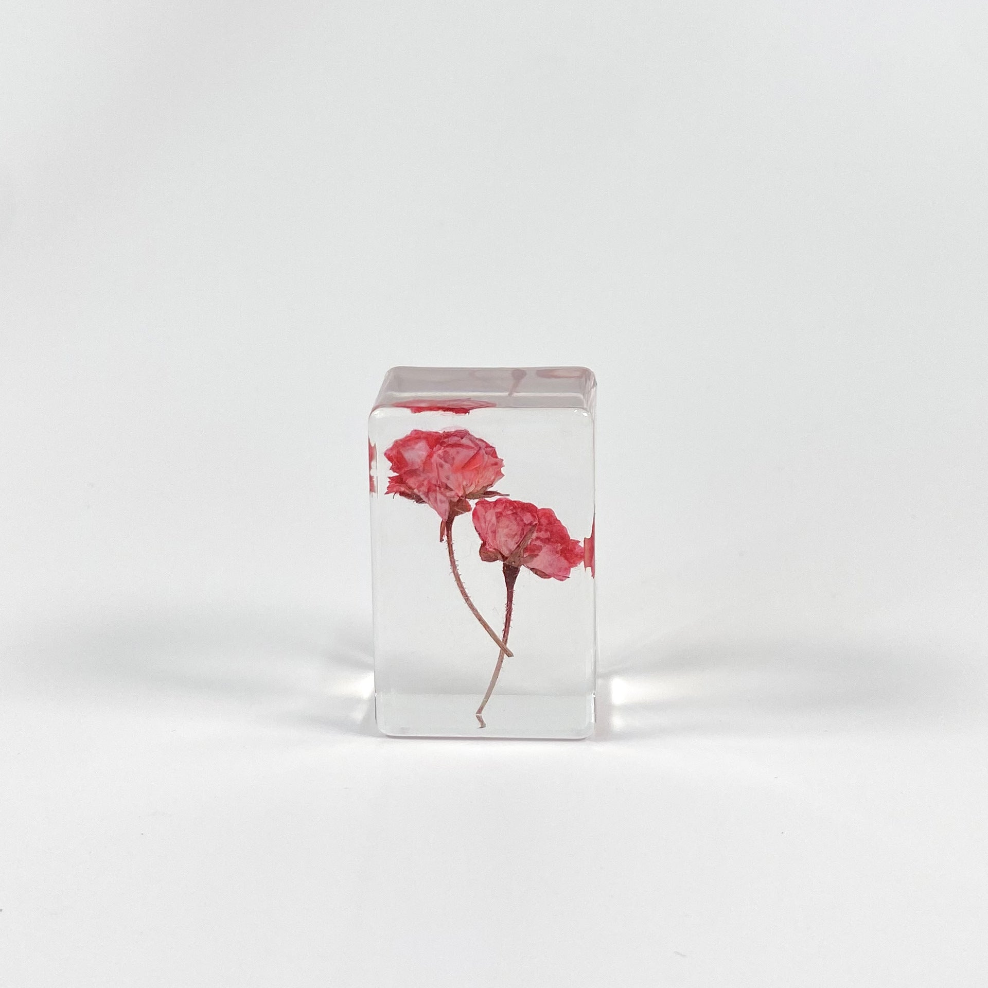 Wholesale Transparent Epoxy Resin Amber Dried Flower Book Town