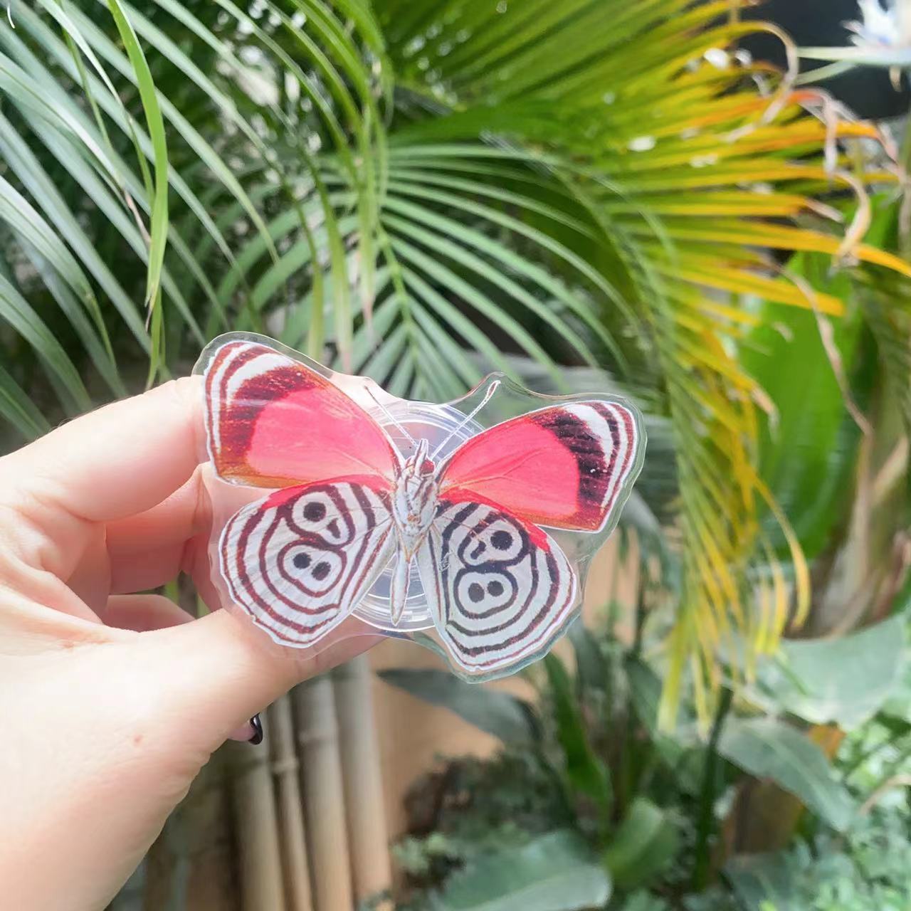 Venta al por mayor Soporte de teléfono móvil de mariposa pintada de acrílico