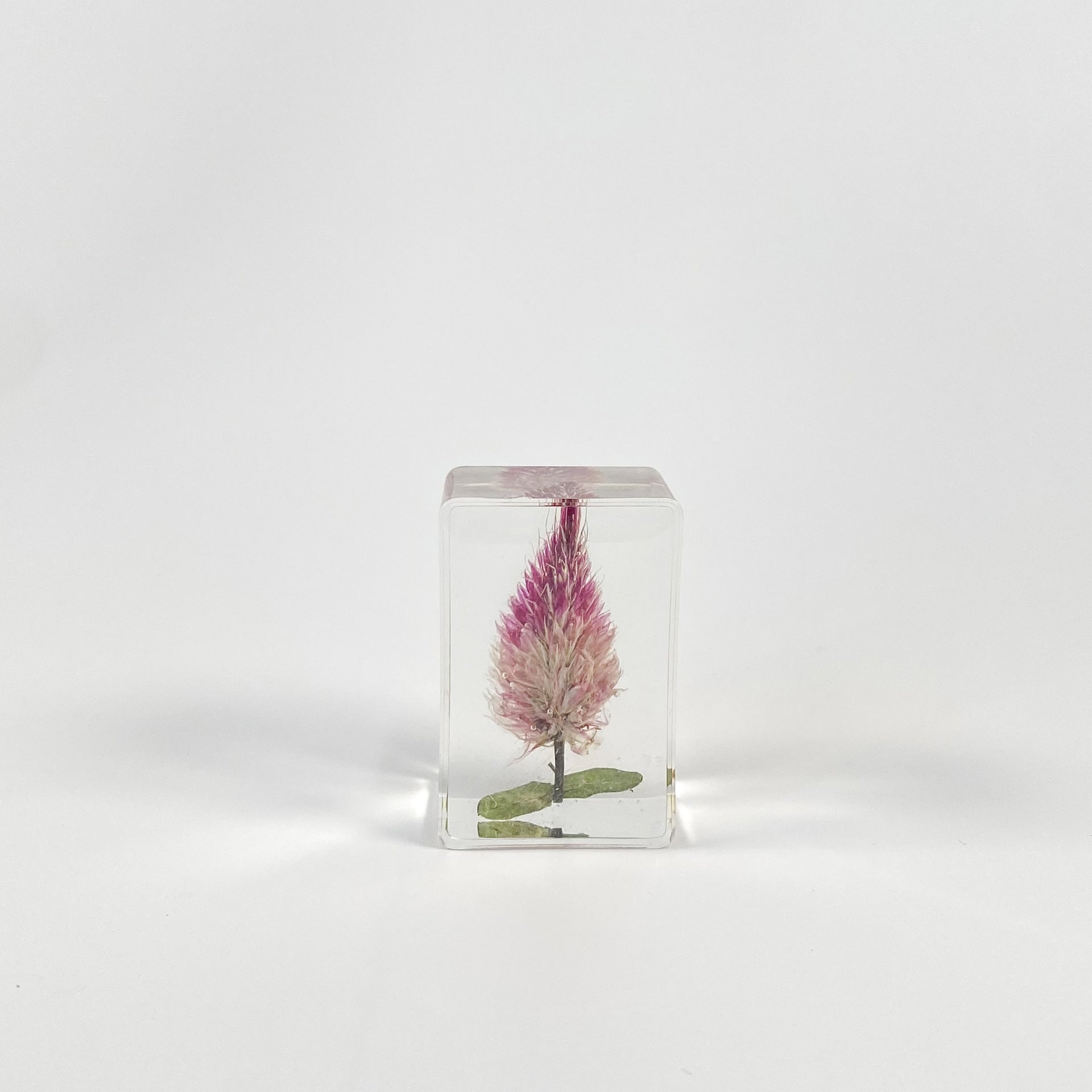 Wholesale Transparent Epoxy Resin Amber Dried Flower Book Town