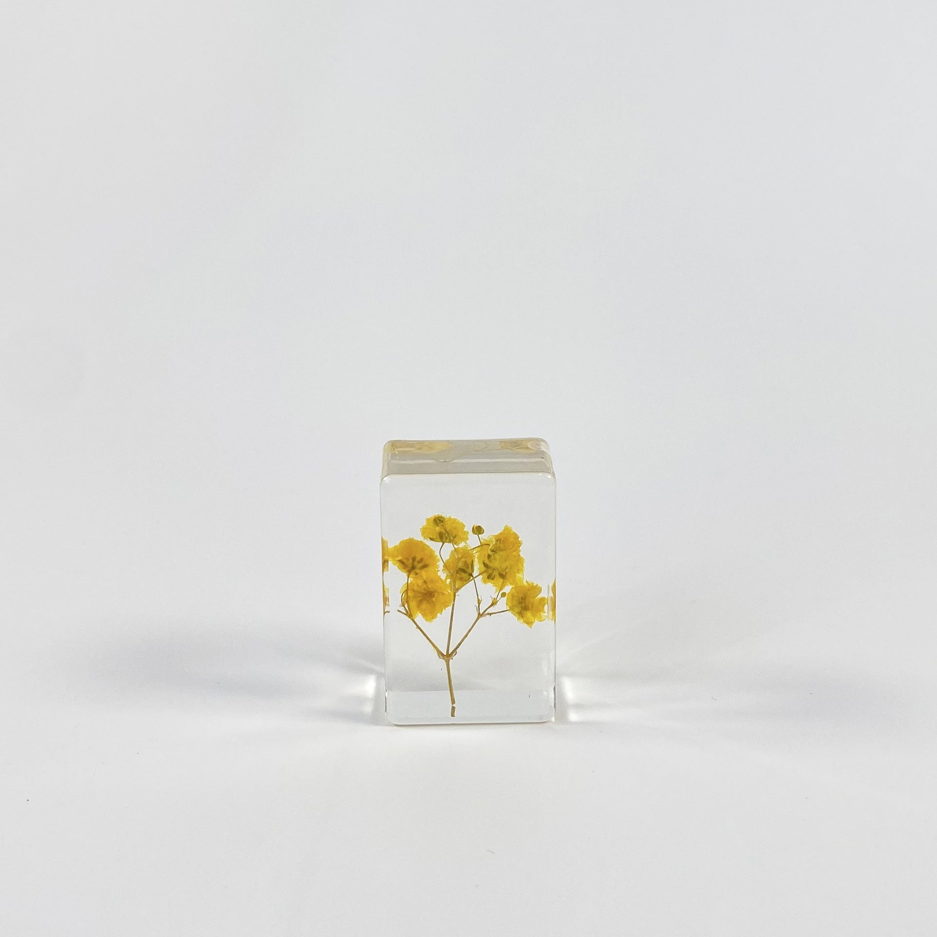 Wholesale Transparent Epoxy Resin Amber Dried Flower Book Town