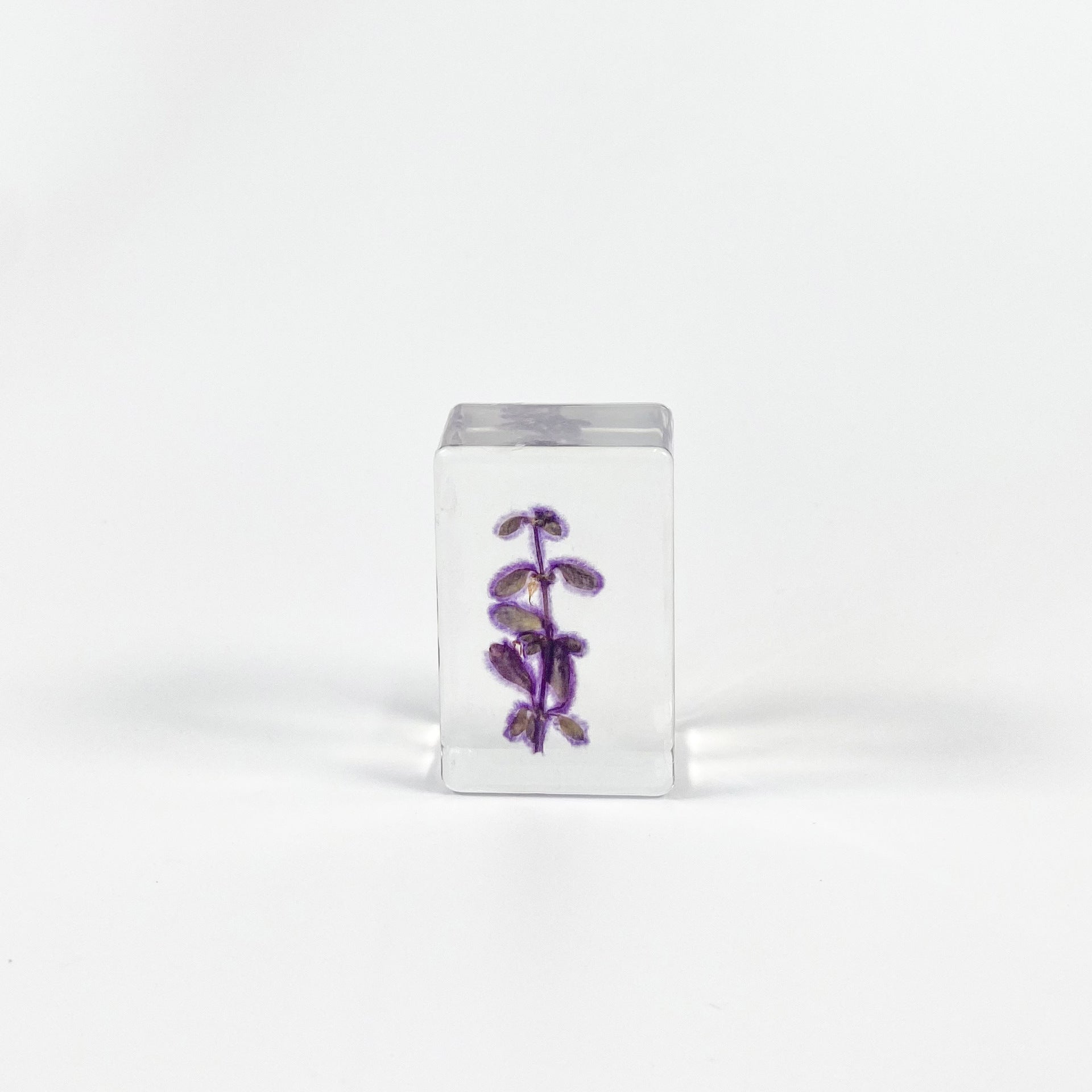 Wholesale Transparent Epoxy Resin Amber Dried Flower Book Town