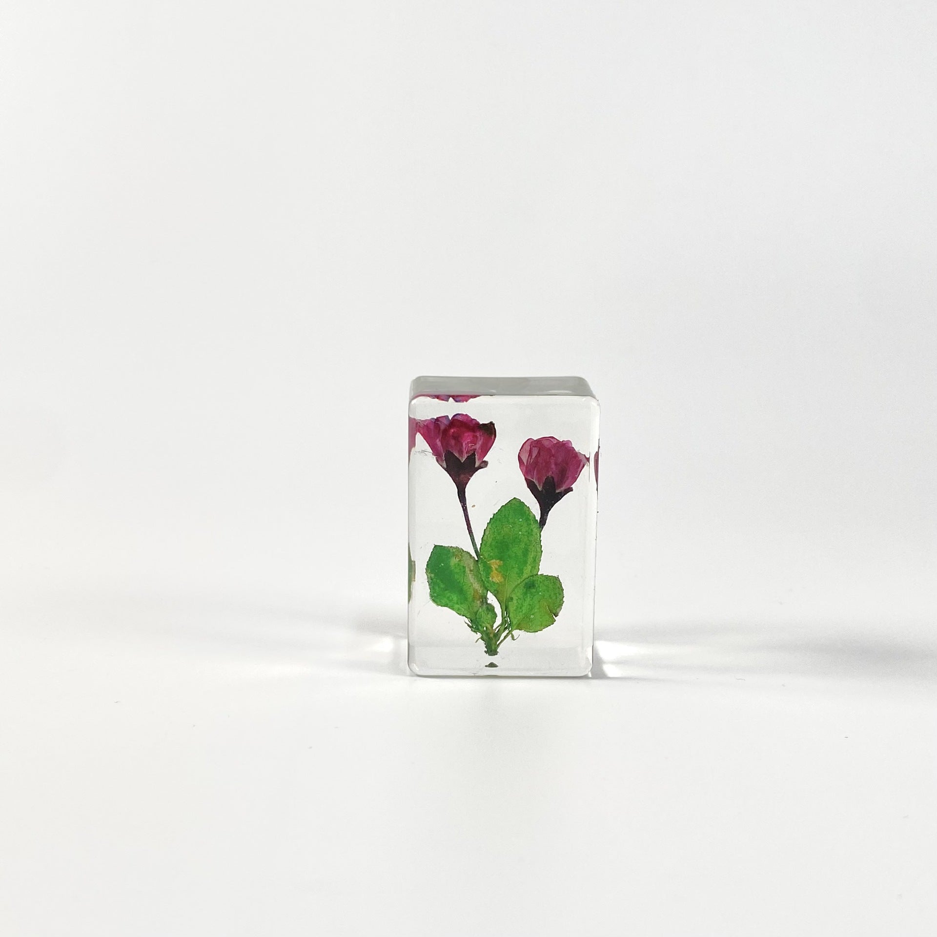 Wholesale Transparent Epoxy Resin Amber Dried Flower Book Town