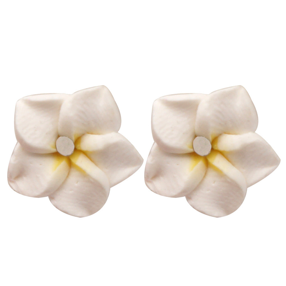 Wholesale Ethnic Rice Beads Earrings