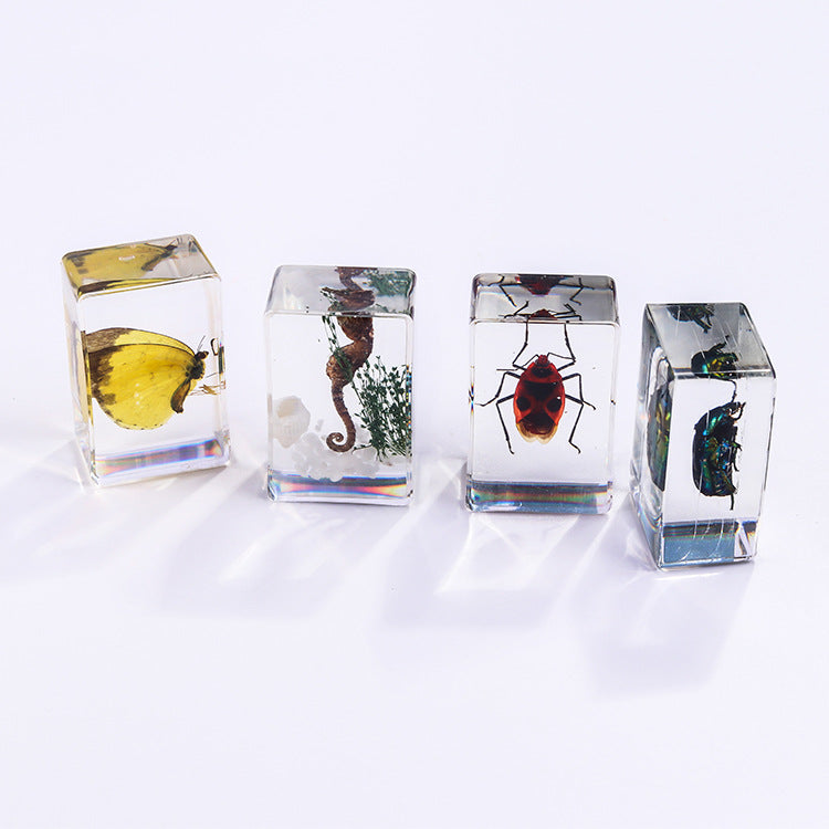Wholesale 6pcs/pack Handmade Epoxy Resin Insect Specimens