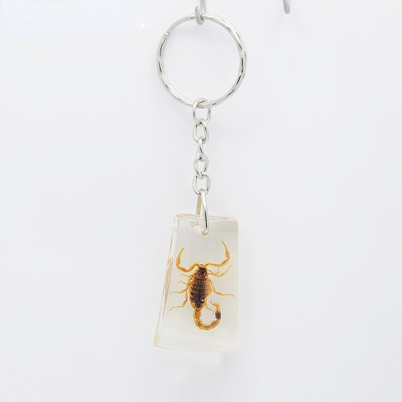 Comercio al por mayor 12PCS Insectos Muestras de ámbar Llaveros de resina