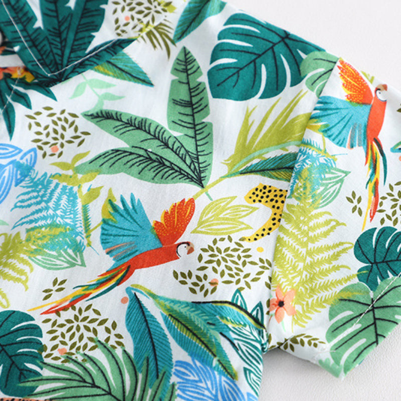 卸売ボーイズサマーシャツ半袖とデニムショートパンツ綿2点セット